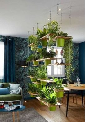 composition de plantes en suspension en guise de cloisonnement entre salon et salle à manger