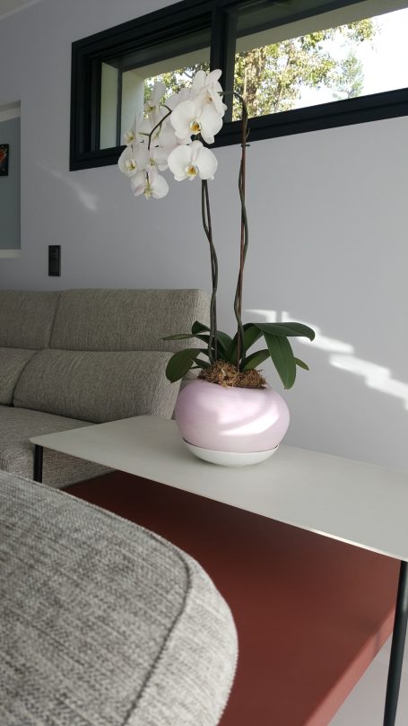 Orchid blanche dans un pot rose sur une table moderne à côté d'un canapé gris.